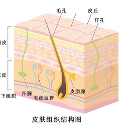 点痣有印子用什么修复_点痣有什么讲究和忌讳_那有点痣的