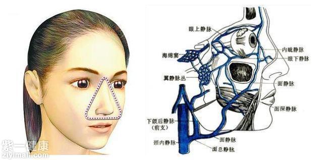 适合点痣后的菜谱_适合点痣的季节_哪里适合点痣