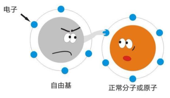 抗氧化可以美白吗_抗氧化美白针有没有副作用_抗氧化美白针可以持续多久