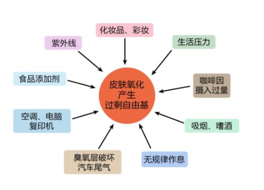 抗氧化可以美白吗_抗氧化美白针有没有副作用_抗氧化美白针可以持续多久